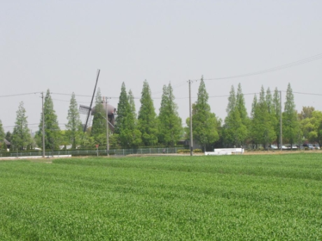画像42